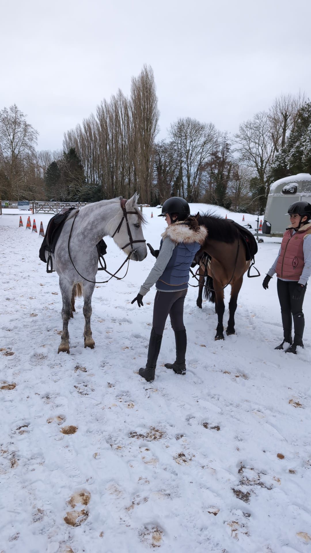 Magnifique ponette de sport