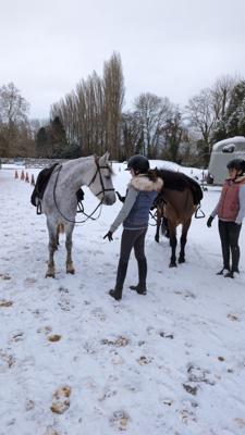 Magnifique ponette de sport